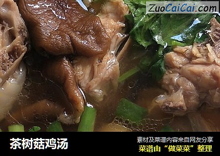 茶树菇鸡汤