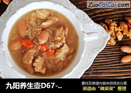 九阳养生壶D67-核桃花生粥