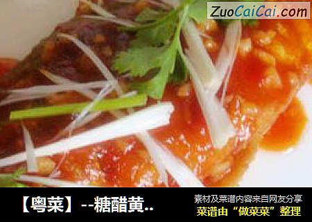 【粤菜】--糖醋黄花鱼
