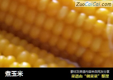 煮玉米