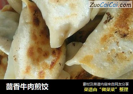 茴香牛肉煎饺