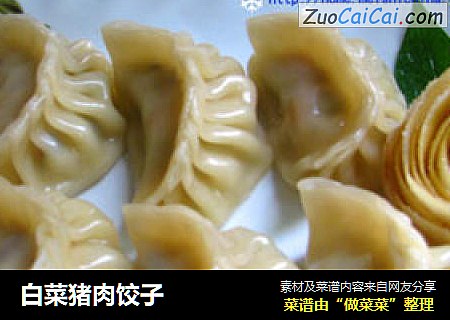 白菜猪肉饺子
