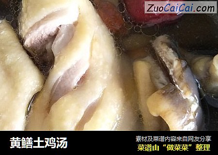 黄鳝土鸡汤