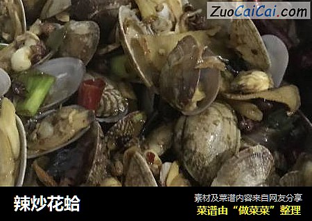 辣炒花蛤