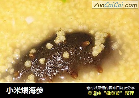 小米煨海参