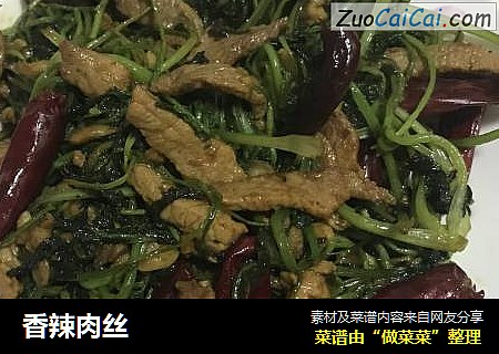 香辣肉丝