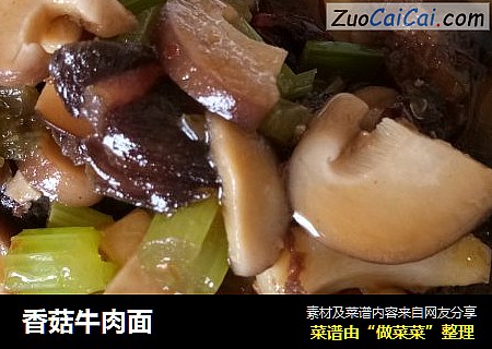 香菇牛肉面