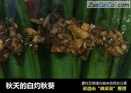 秋天的白灼秋葵