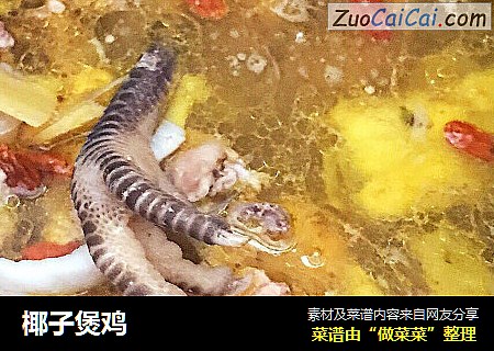 椰子煲鸡