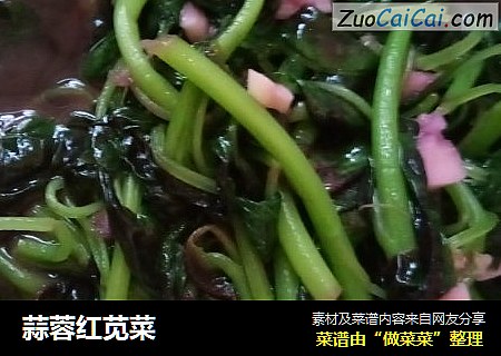 蒜蓉红苋菜