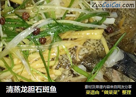 清蒸龙胆石斑鱼