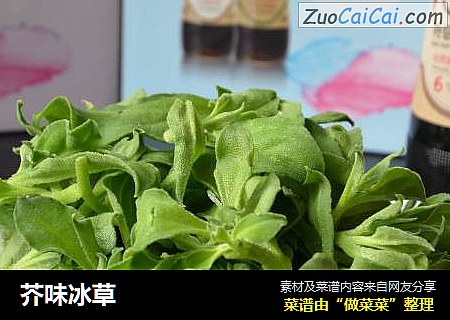 芥味冰草