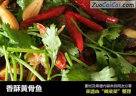 香酥黄骨鱼
