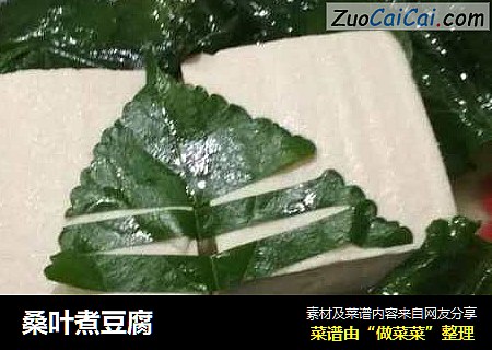 桑叶煮豆腐