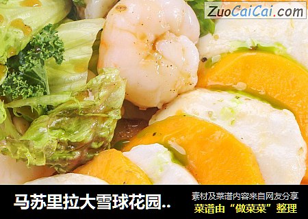 马苏里拉大雪球花园海鲜色拉
