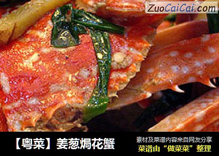 【粤菜】姜葱焗花蟹