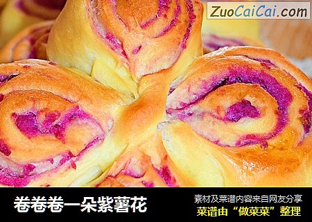 卷卷卷一朵紫薯花