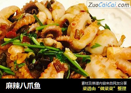 麻辣八爪鱼
