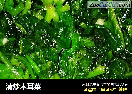清炒木耳菜
