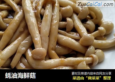 蚝油海鲜菇