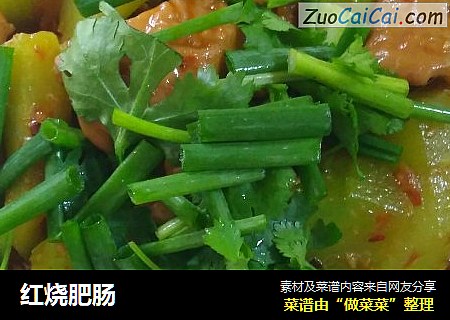 红烧肥肠