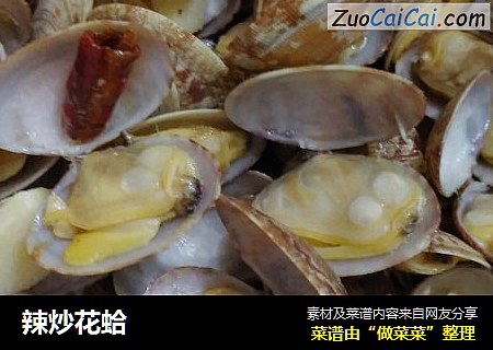 辣炒花蛤