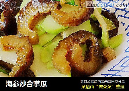 海参炒合掌瓜
