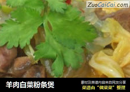羊肉白菜粉条煲
