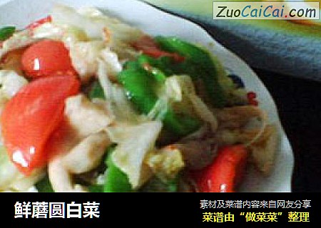 鲜蘑圆白菜