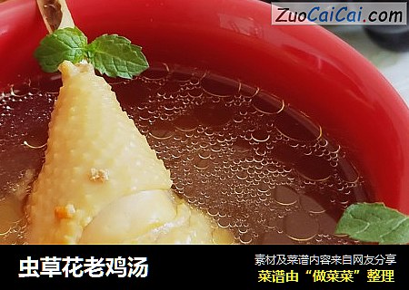 虫草花老鸡汤
