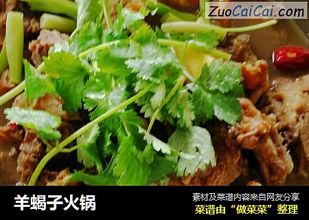 羊蝎子火锅