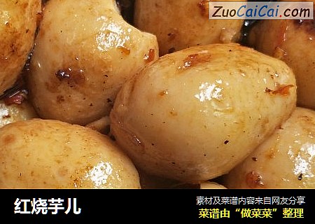 红烧芋儿