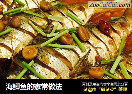 海鲫鱼的家常做法