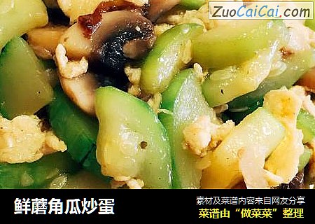 鲜蘑角瓜炒蛋