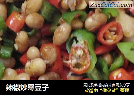 辣椒炒霉豆子