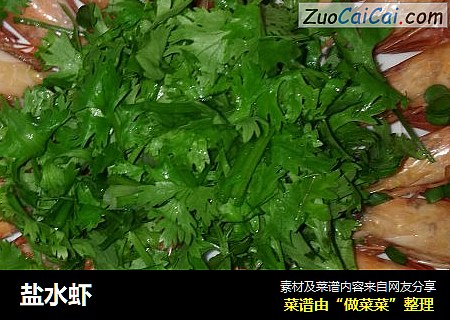 盐水虾