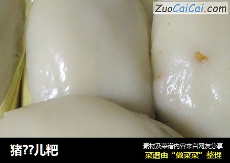 猪??儿粑