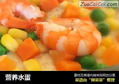 营养水蛋