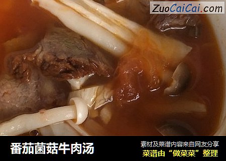 番茄菌菇牛肉汤
