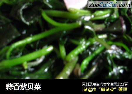 蒜香紫贝菜