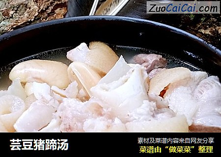 芸豆猪蹄汤