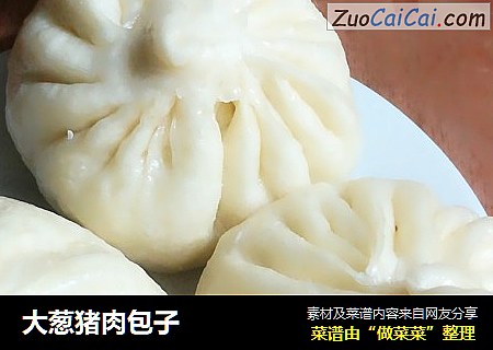 大葱猪肉包子