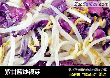 紫甘蓝炒银芽
