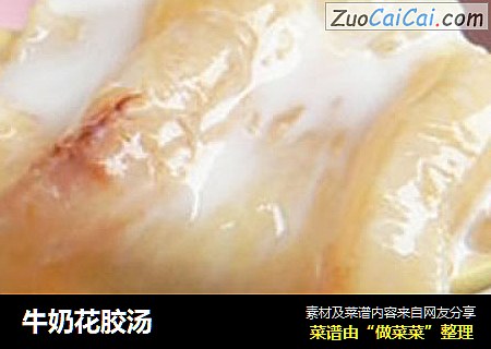 牛奶花胶汤