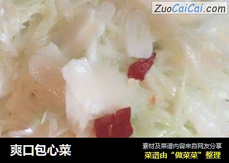 爽口包心菜