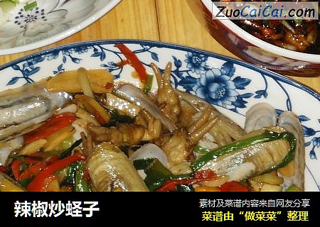 辣椒炒蛏子