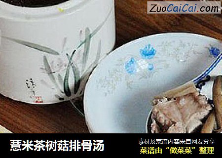 薏米茶树菇排骨汤