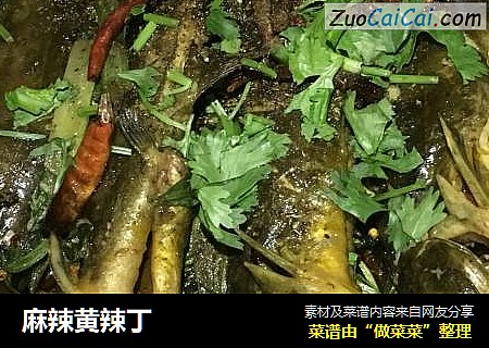 麻辣黄辣丁