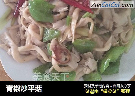青椒炒平菇