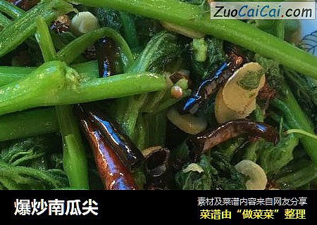 爆炒南瓜尖